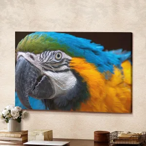 Beautiful Macaw Parrot Closeup Canvas Wall Art Home Decor