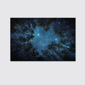 Beautiful Night Sky Milky Way Trees Canvas Wall Art