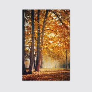 Beautiful Night Sky Milky Way Trees Canvas Wall Art