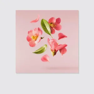 Beautiful Spring Pink Flower Square Canvas Wall Art