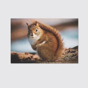 Beautiful Little Squirrel In The Forest Canvas Wall Art Home Decor